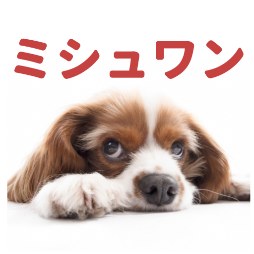 ミシュワンの達人